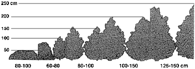 pryd1.gif (30594 bytes)